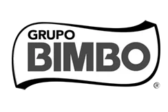 BIMBO-CLIENTE VIDCON